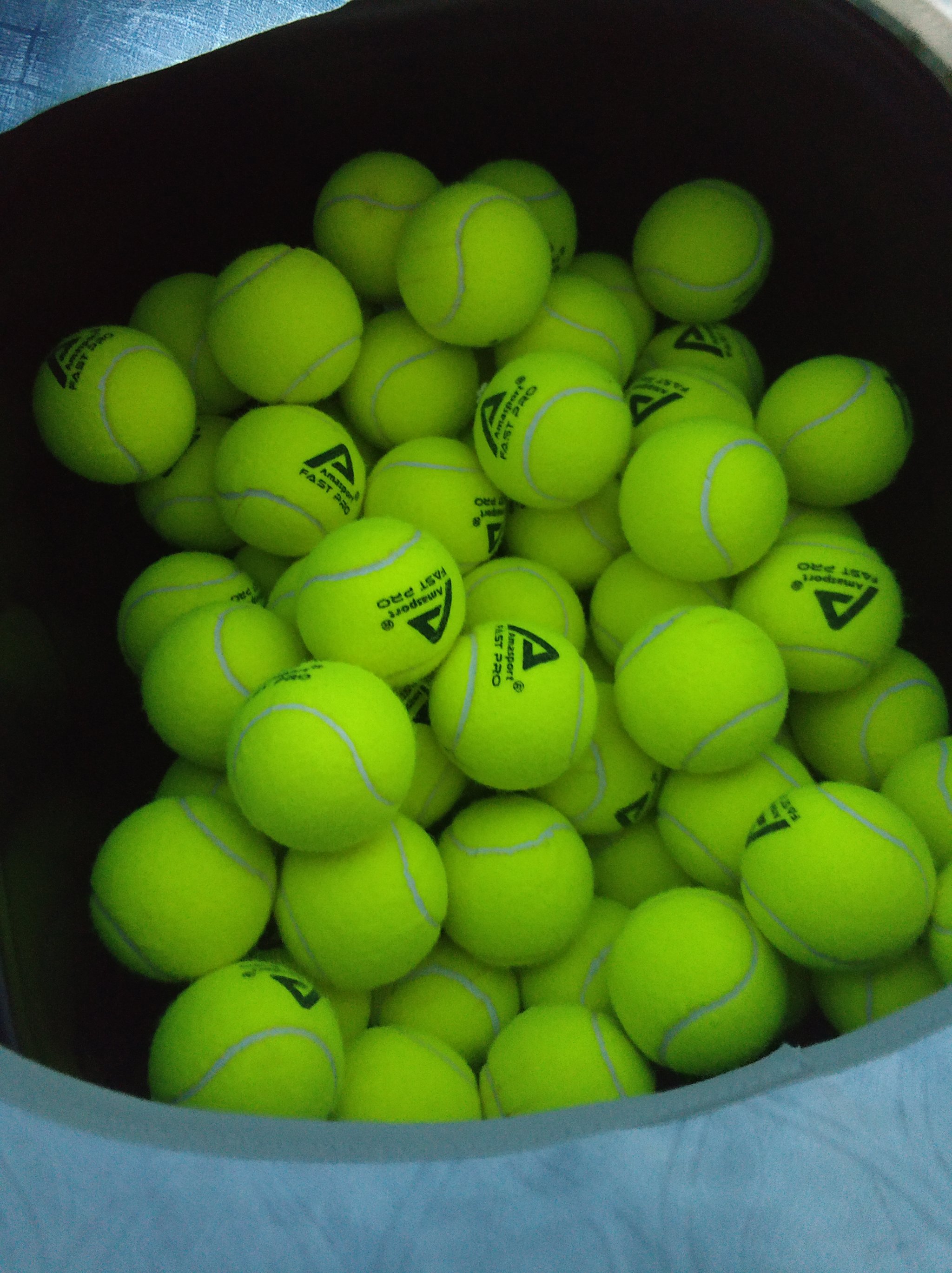 的成功经验 的成功经验